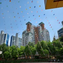 학교운동회 만국기설치